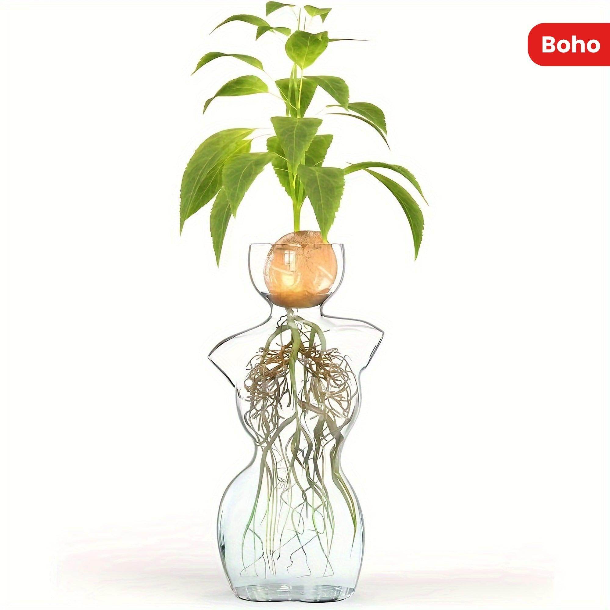 Glass Avocado Vase - My Store