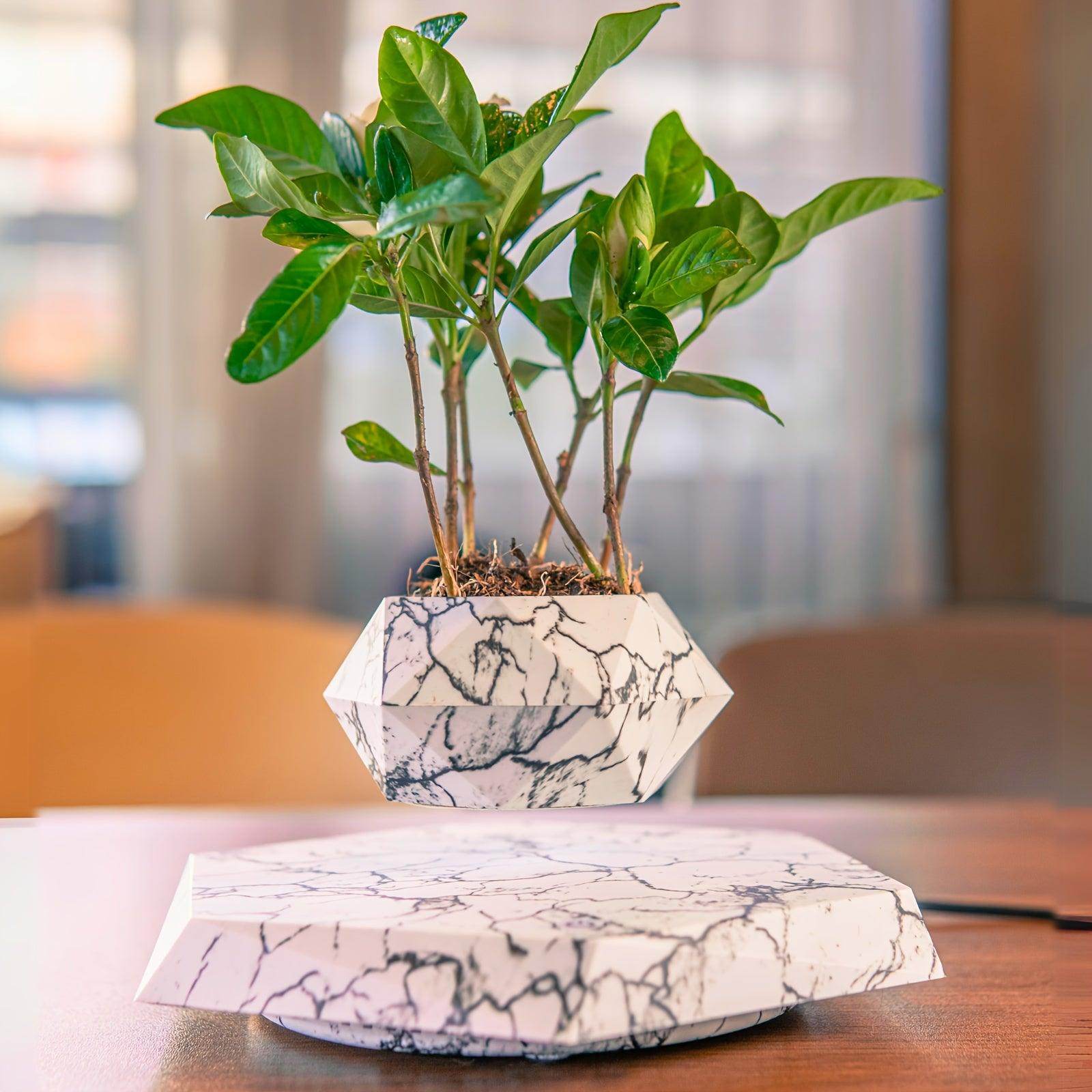 Levitating Floating Plant Pot - My Store