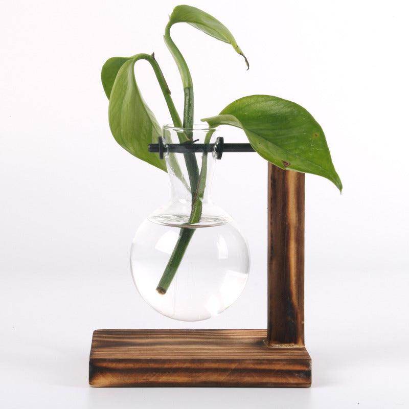 Vintage Hydroponic Plant Vase Set - My Store