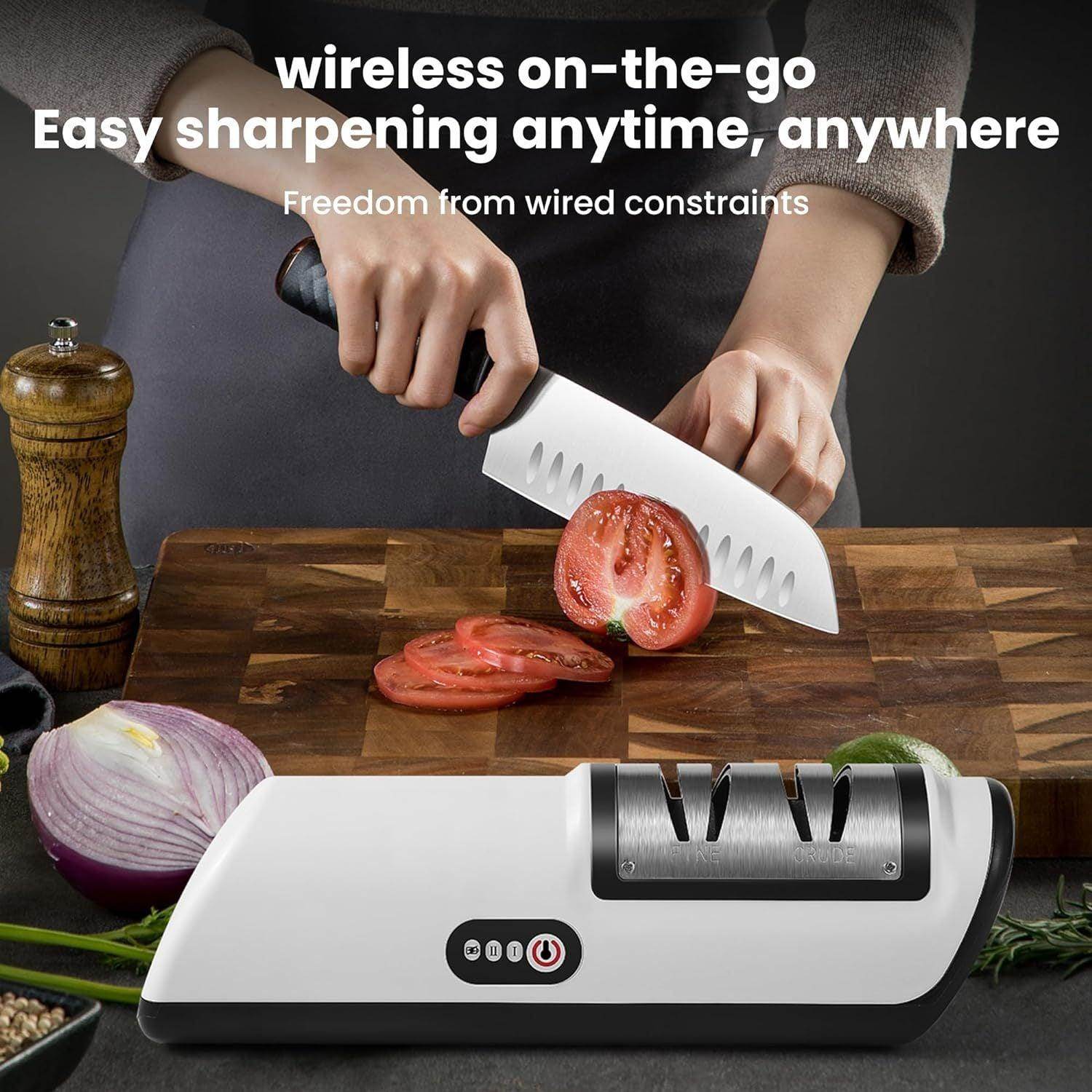 Professional 2-Stage Electric Knife Sharpener - My Store