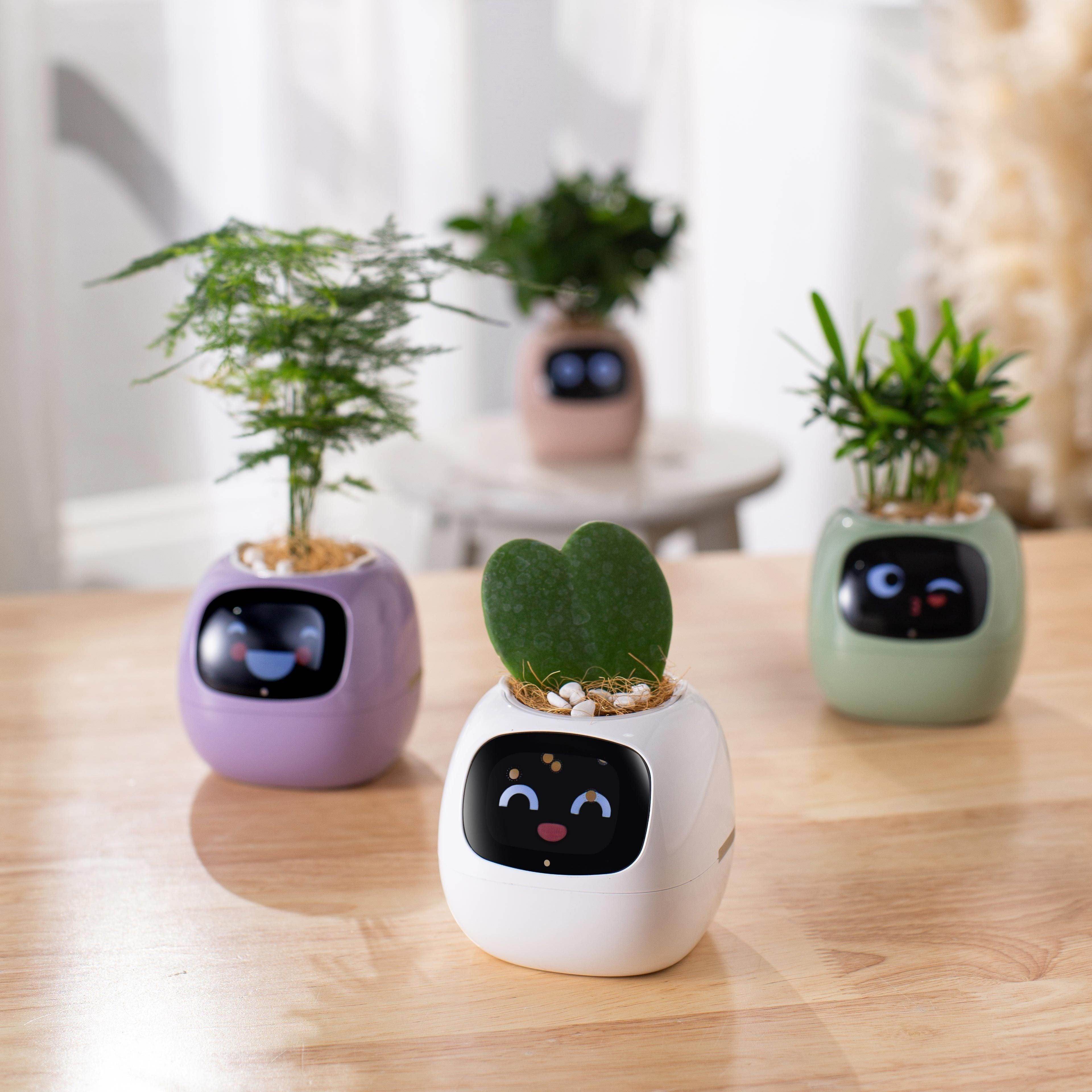 Smart AI Self-Watering Planter with Expressive Faces - My Store