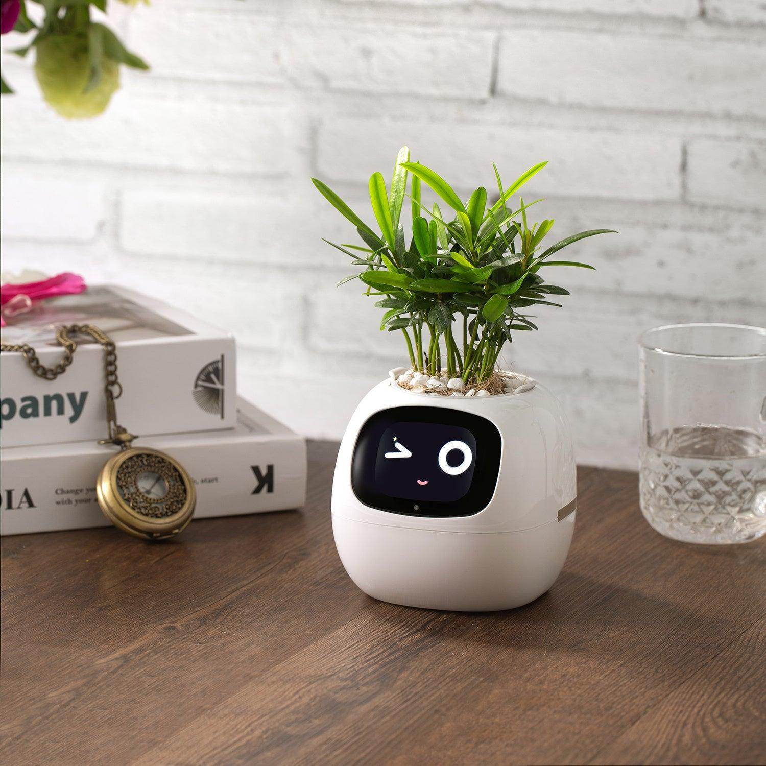 Smart AI Self-Watering Planter with Expressive Faces - My Store