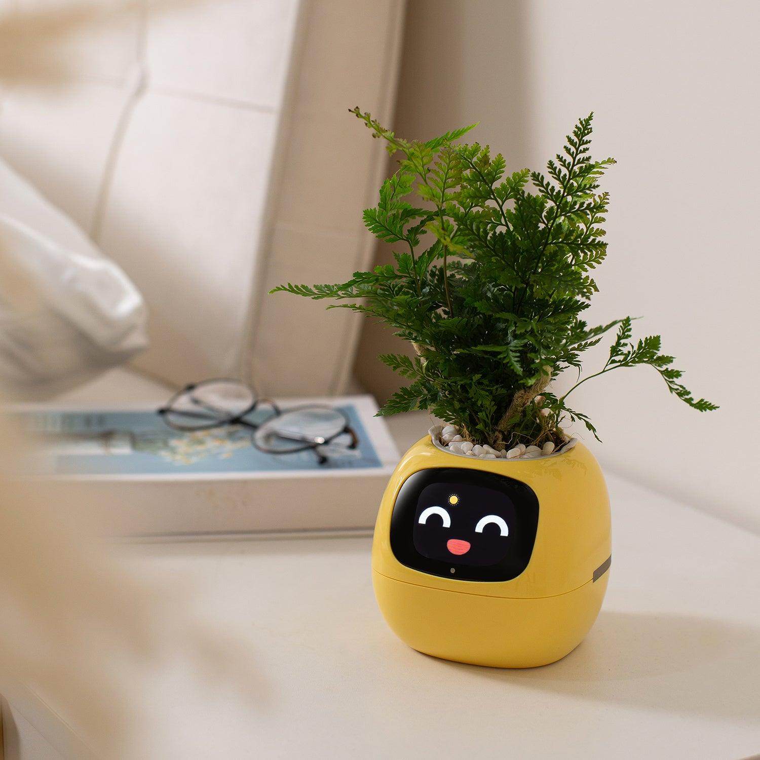Smart AI Self-Watering Planter with Expressive Faces - My Store
