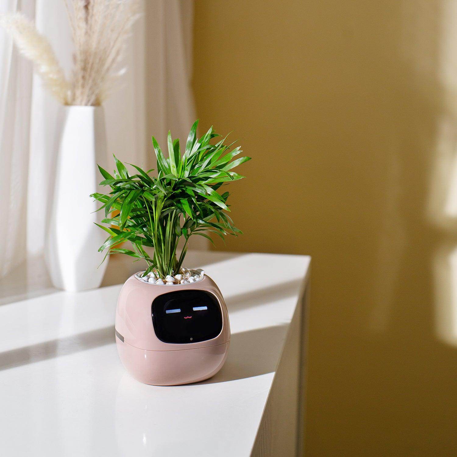 Smart AI Self-Watering Planter with Expressive Faces - My Store