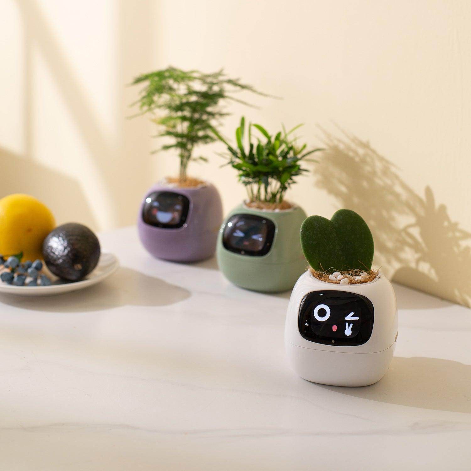 Smart AI Self-Watering Planter with Expressive Faces - My Store
