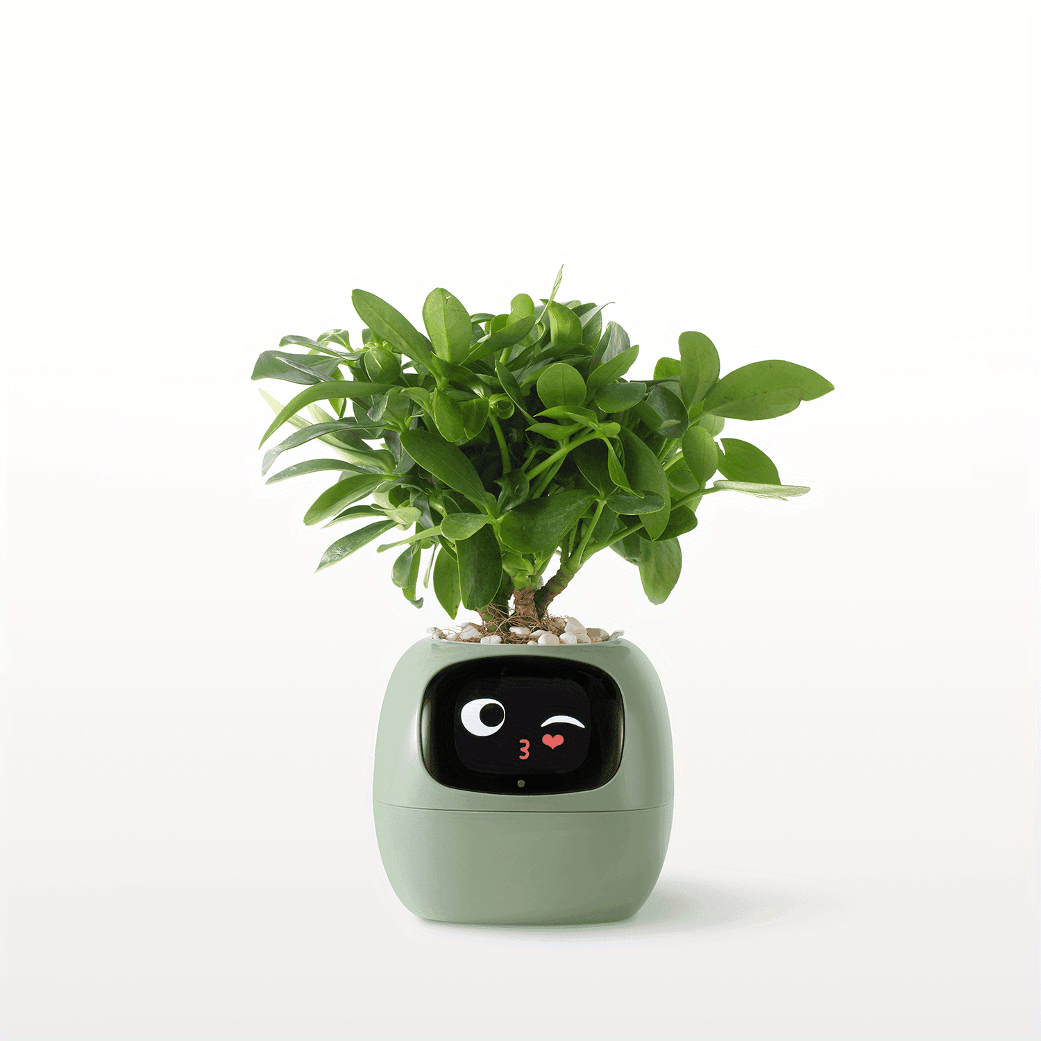 Smart AI Self-Watering Planter with Expressive Faces - My Store