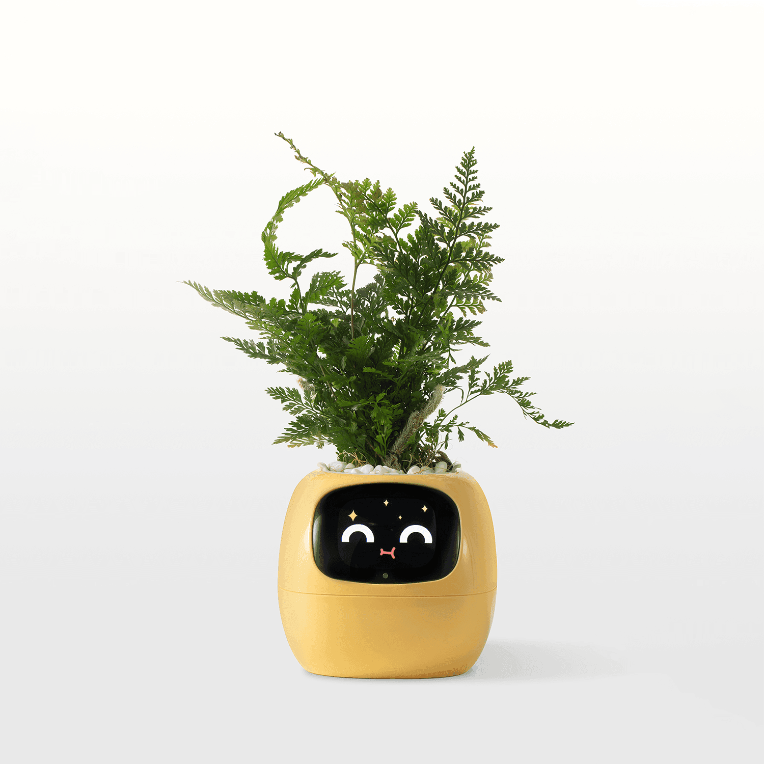 Smart AI Self-Watering Planter with Expressive Faces - My Store