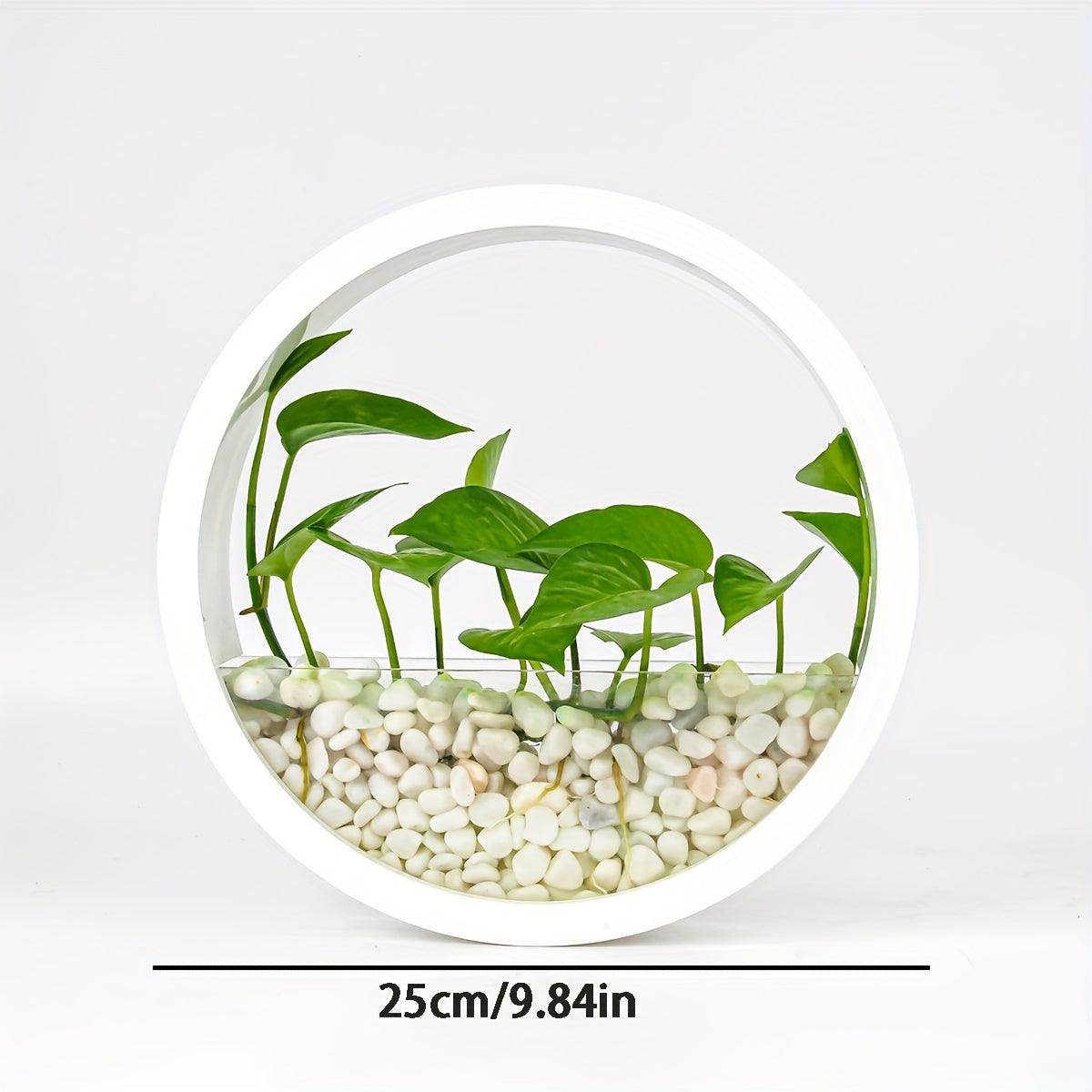 Wall-Mounted Round Planter - My Store