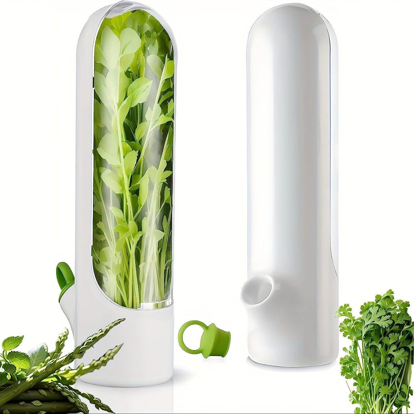 Fresh Vegetable Storage Containers with Flip-Top Lid - My Store
