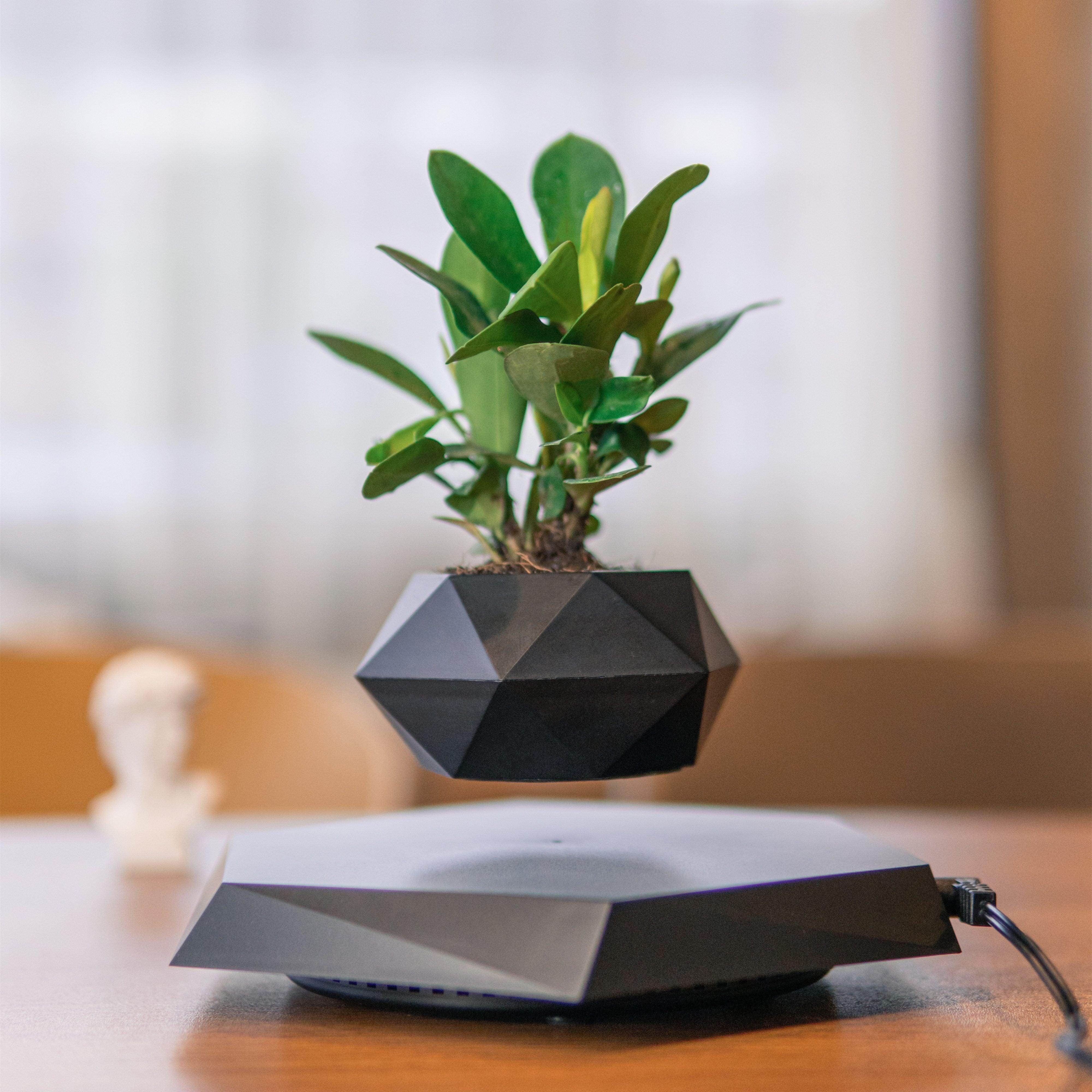Levitating Plant Pot - My Store