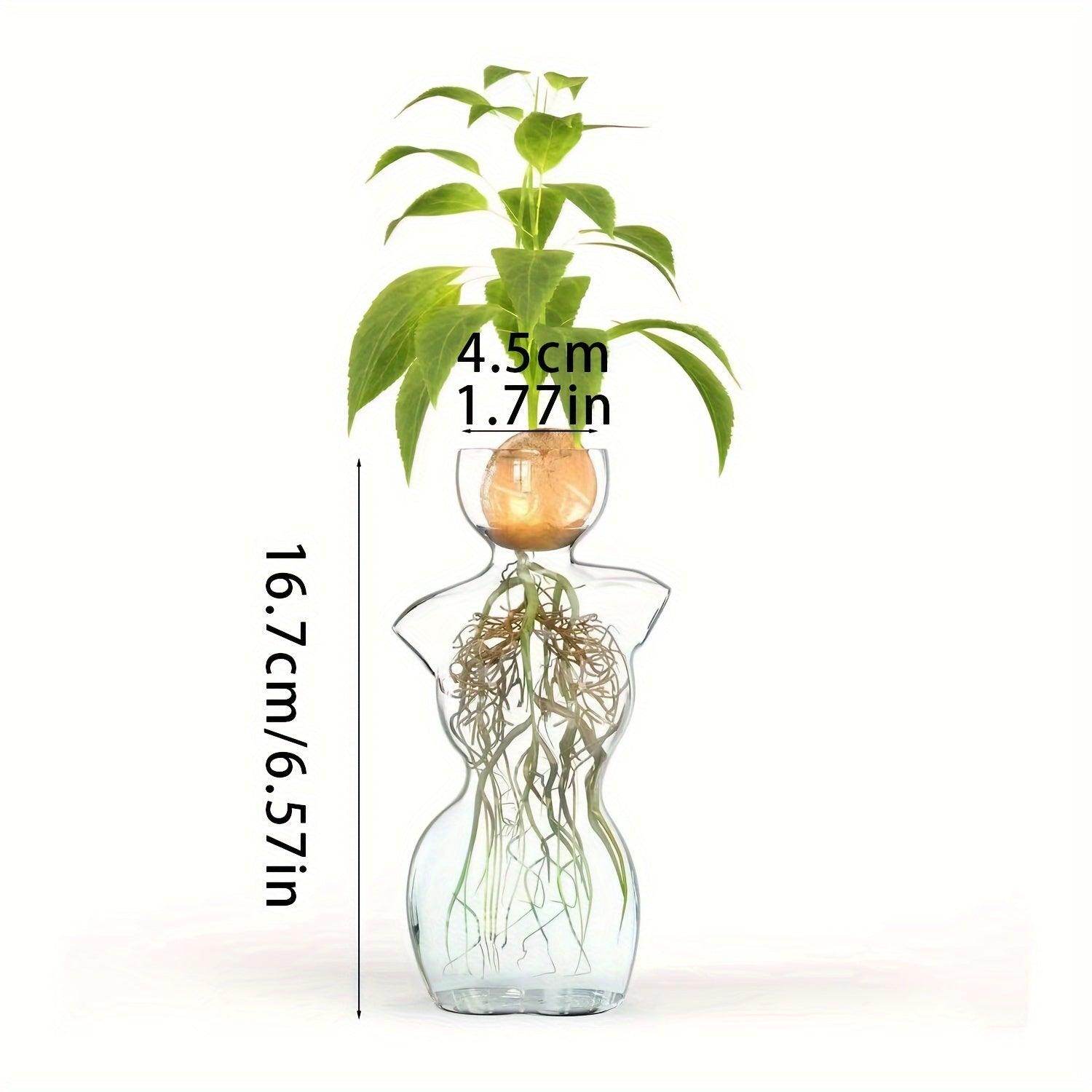 Glass Avocado Vase - My Store