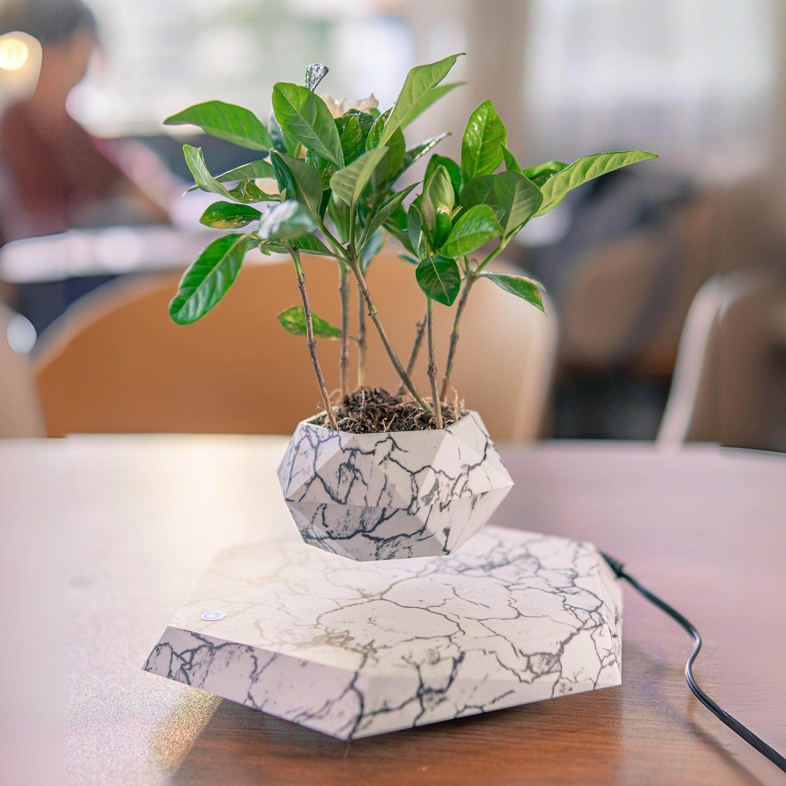 Levitating Floating Plant Pot - My Store