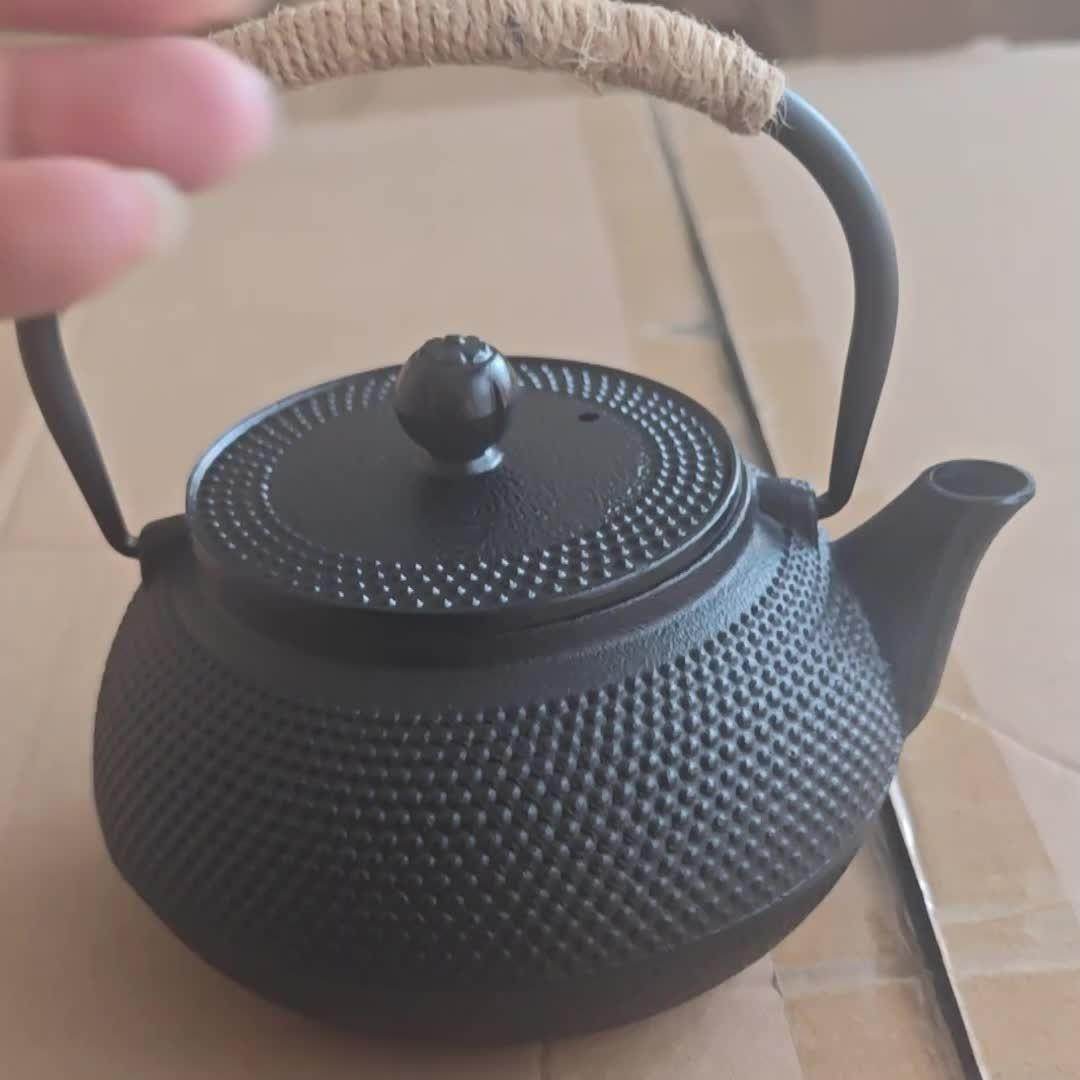 Cast Iron Teapot with Stainless Steel Infuser - My Store