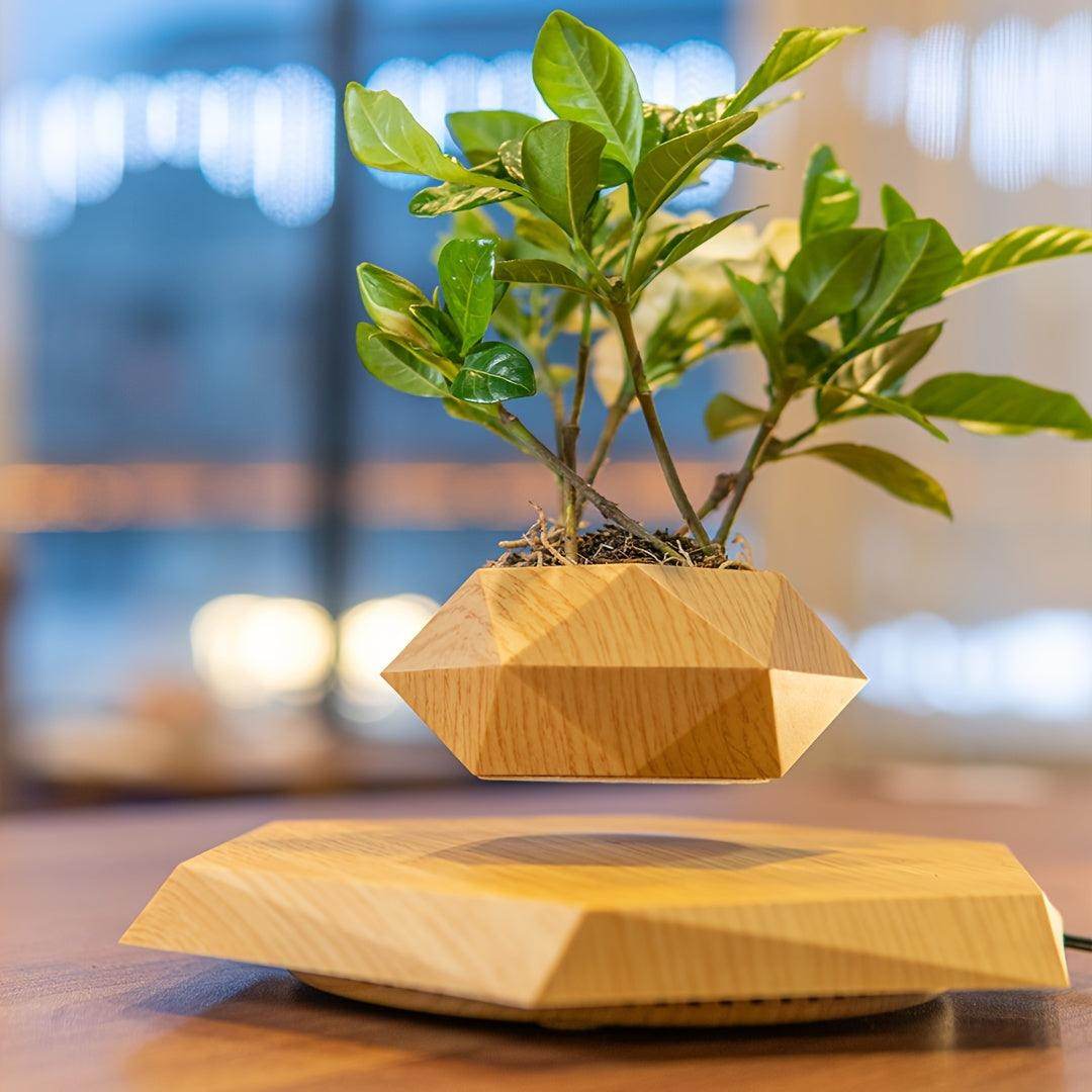 Levitating Plant Pot - My Store