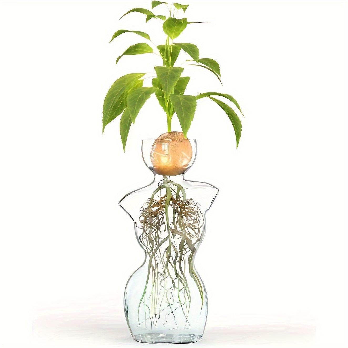 Glass Avocado Vase - My Store