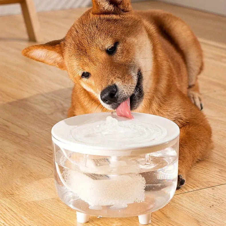 Dog drinking from a transparent bowl filled with water on a wooden floor.