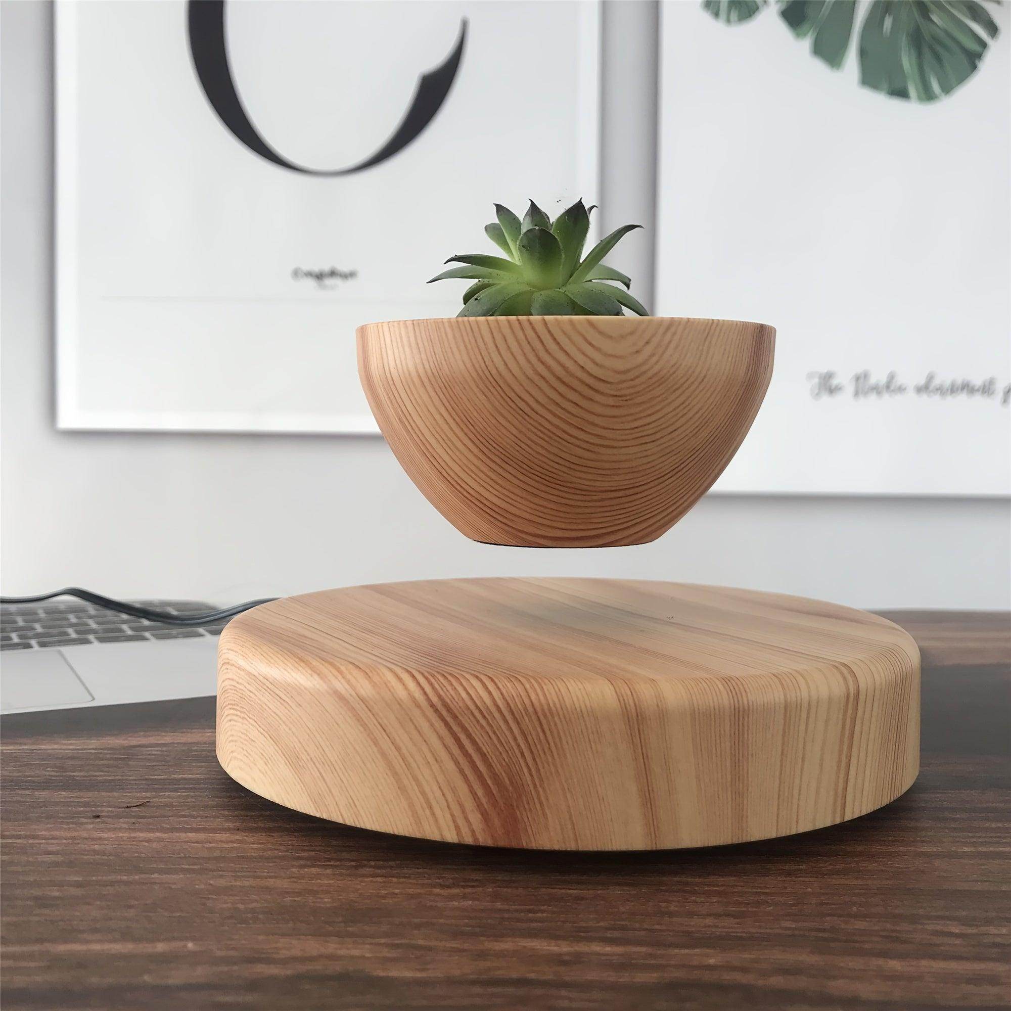 Nordic Style Succulent Plant Pot - My Store