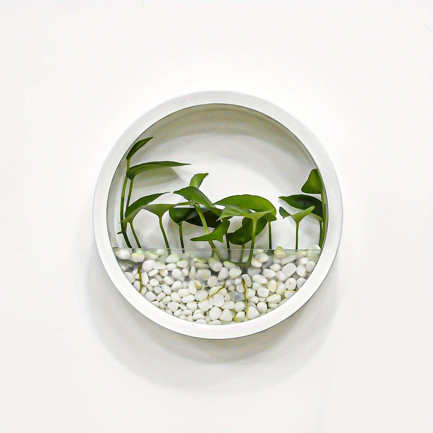 Wall-Mounted Round Planter - My Store