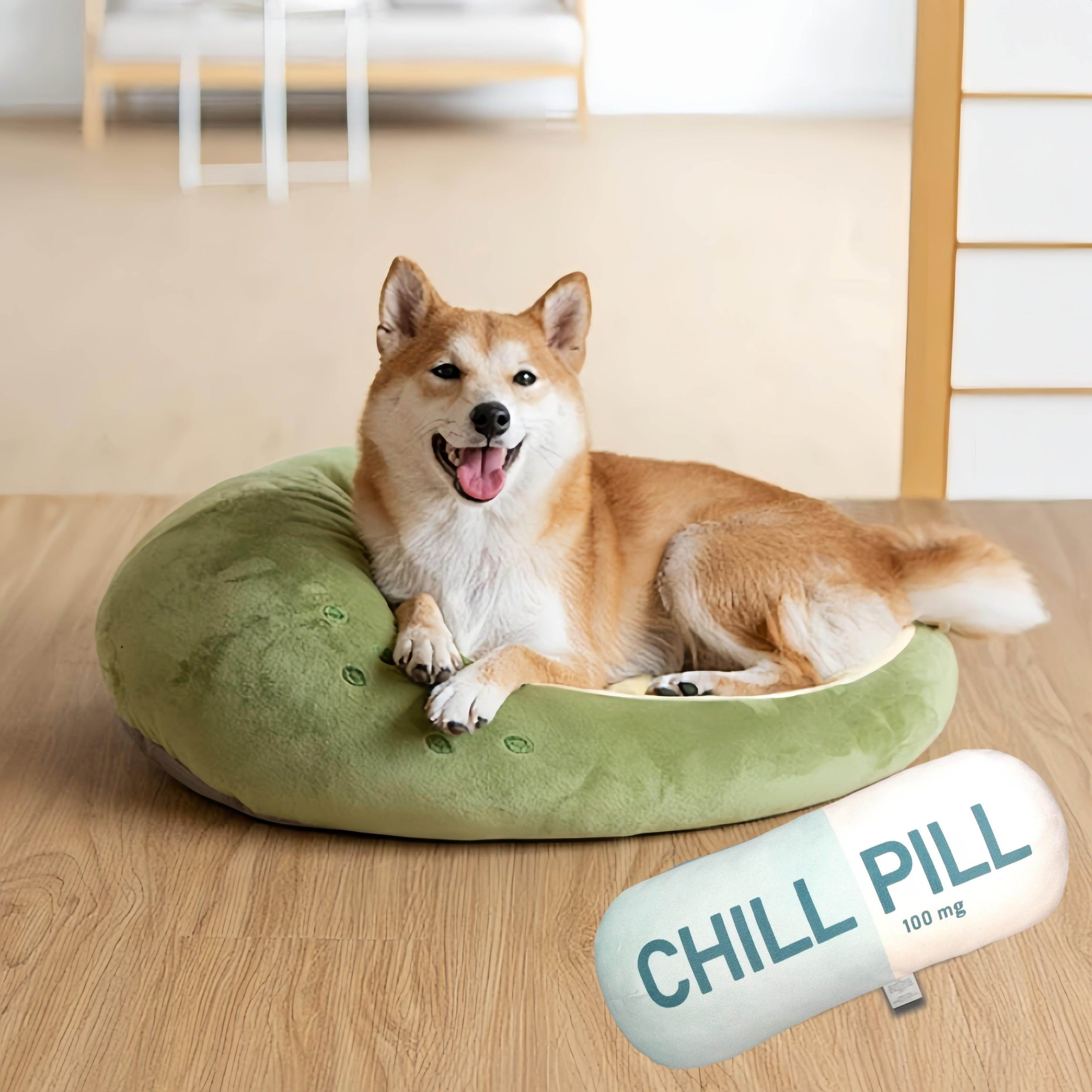Chill Pill Pillow - My Store