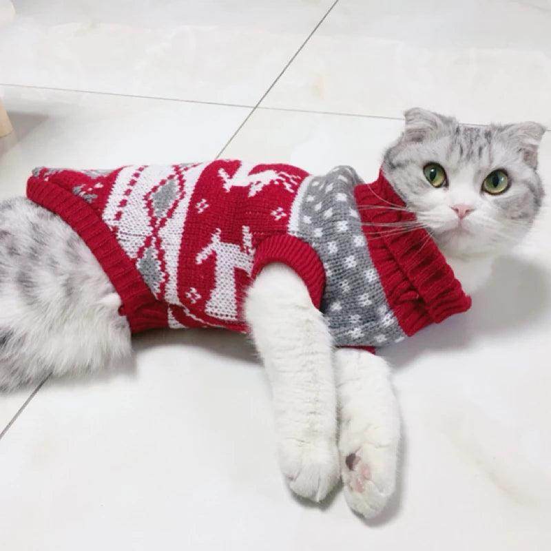 Christmas Cat Sweater - My Store