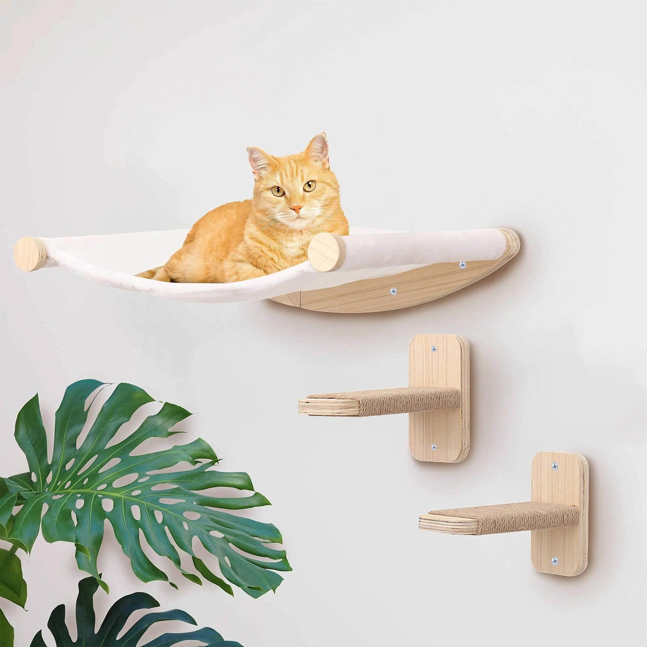 Wall-Mounted Cat Climbing Rope & Wooden Pedals - My Store