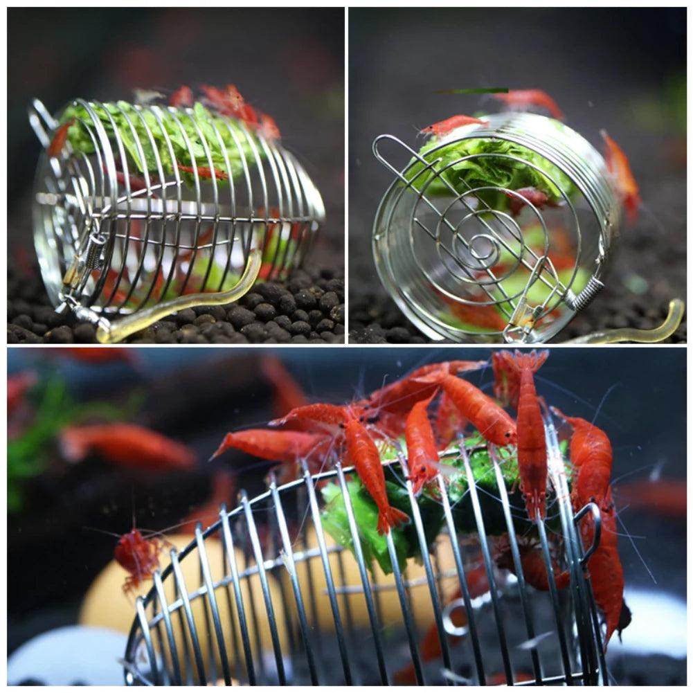 Stainless Steel Shrimp Feeding Dish - My Store