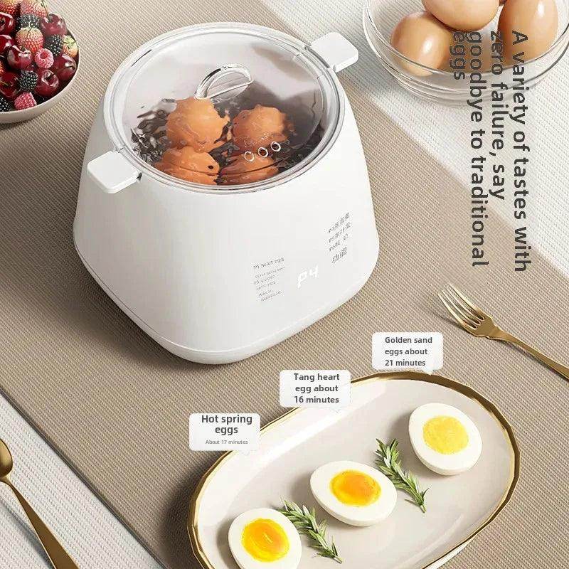 Mini Egg Boiler-Multifunctional Electric - My Store