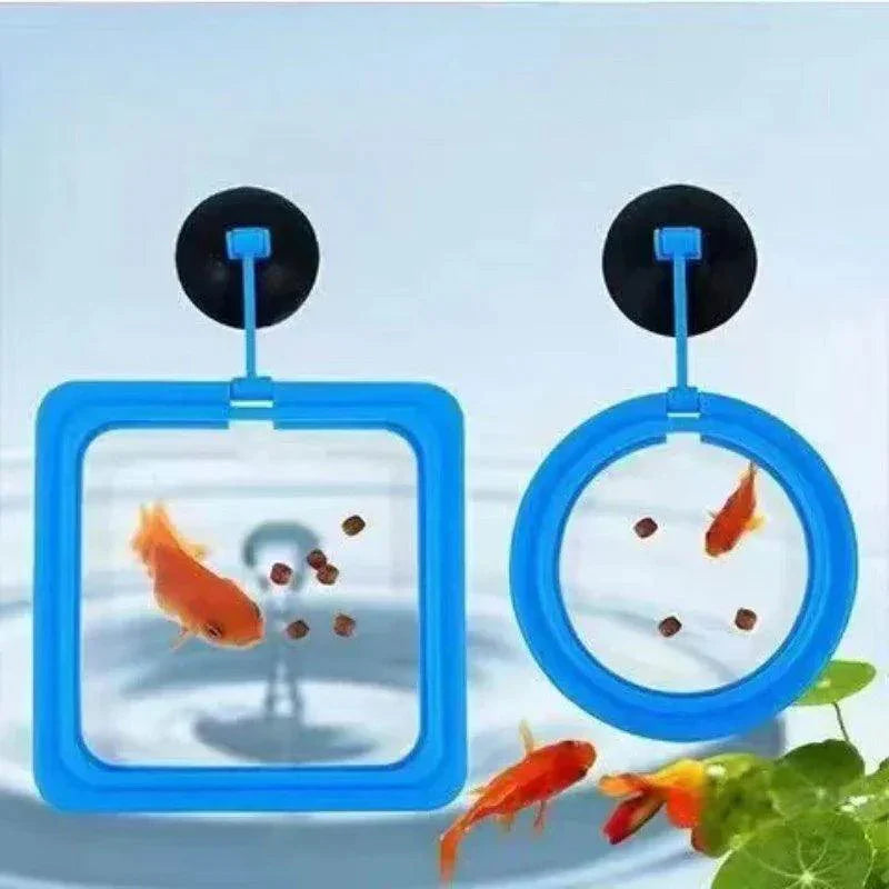Floating Fish Feeding Ring - My Store