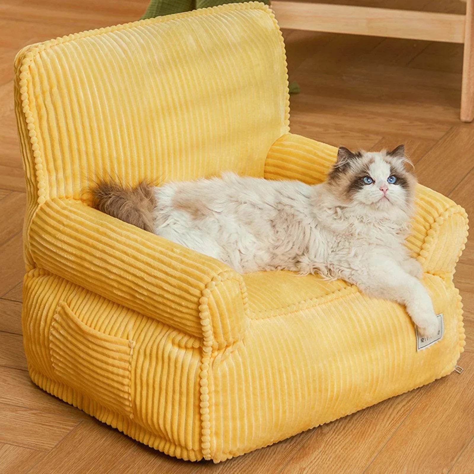 Cat Sofa for Medium Small Dogs & Cats - My Store