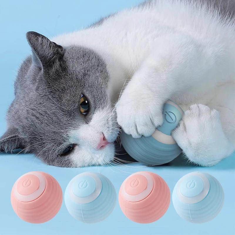 Automatic Moving Cat Toy – Rechargeable Rolling Ball - My Store
