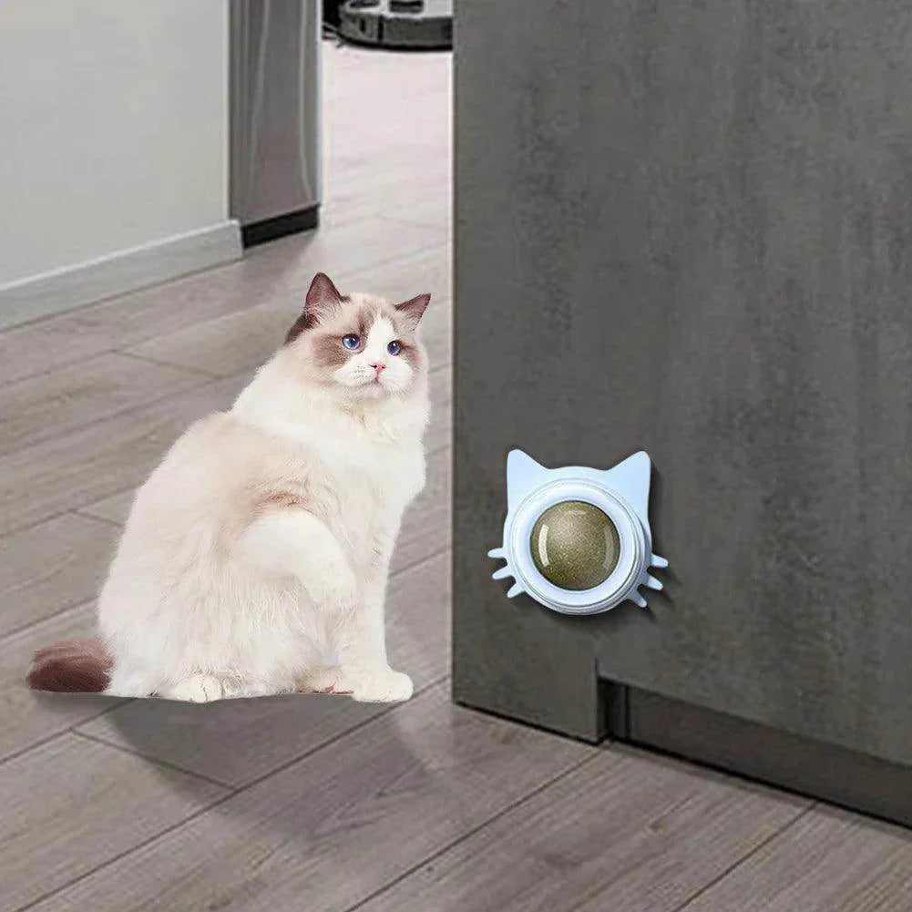 Catnip Rotatable Lickable Ball Toy - My Store