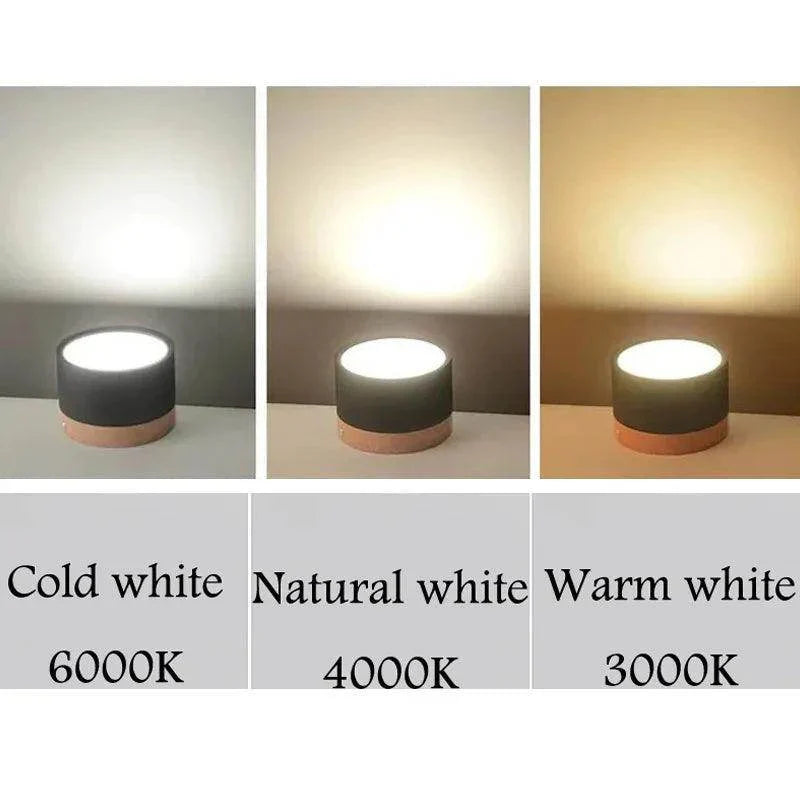 LED Surface Mounted Ceiling Downlight - My Store