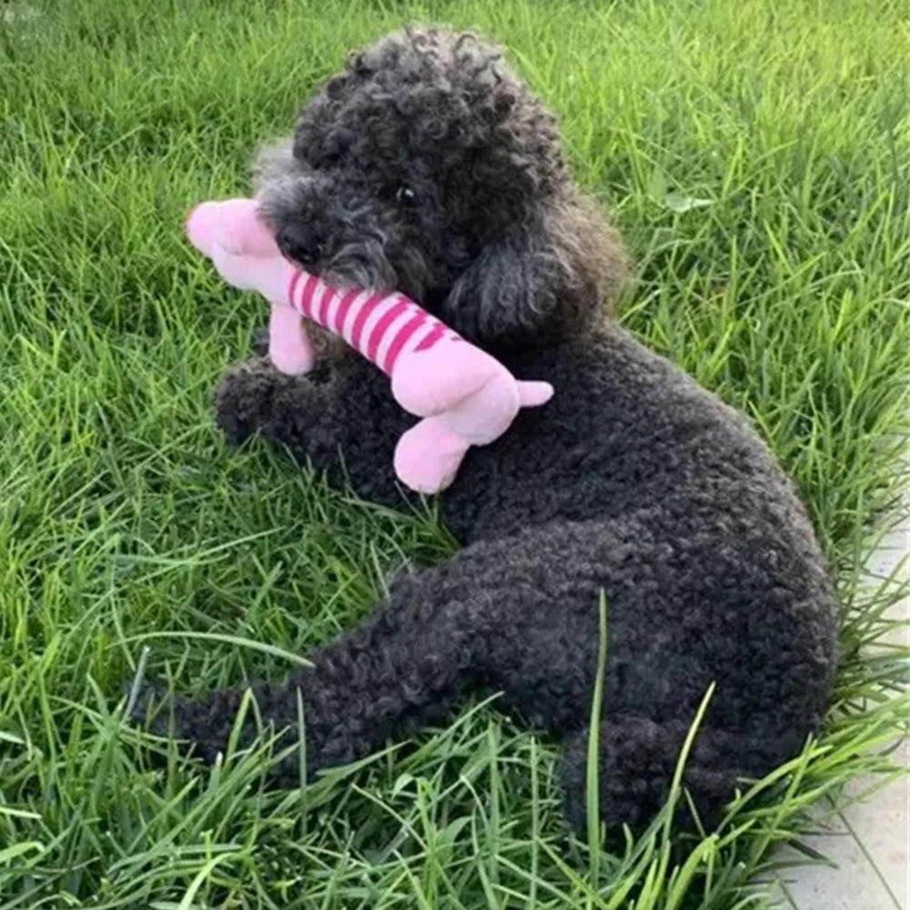 Plush Filled Pet Chew Toy for Small Dogs - My Store