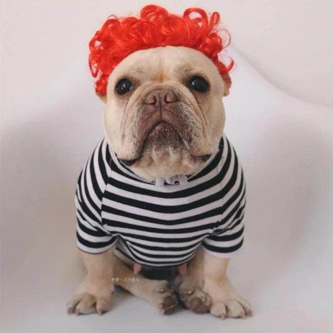 Pet Cosplay Wig for Cats & Dogs - My Store