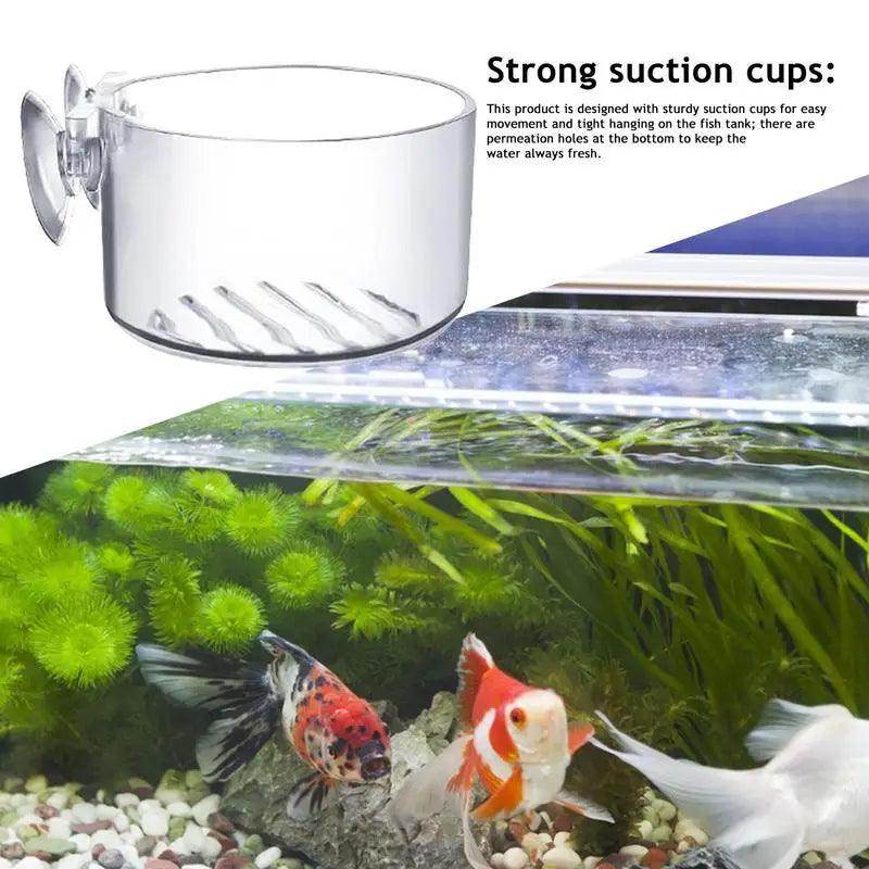 Acrylic Aquatic Plant Cup with Suction Holder - My Store