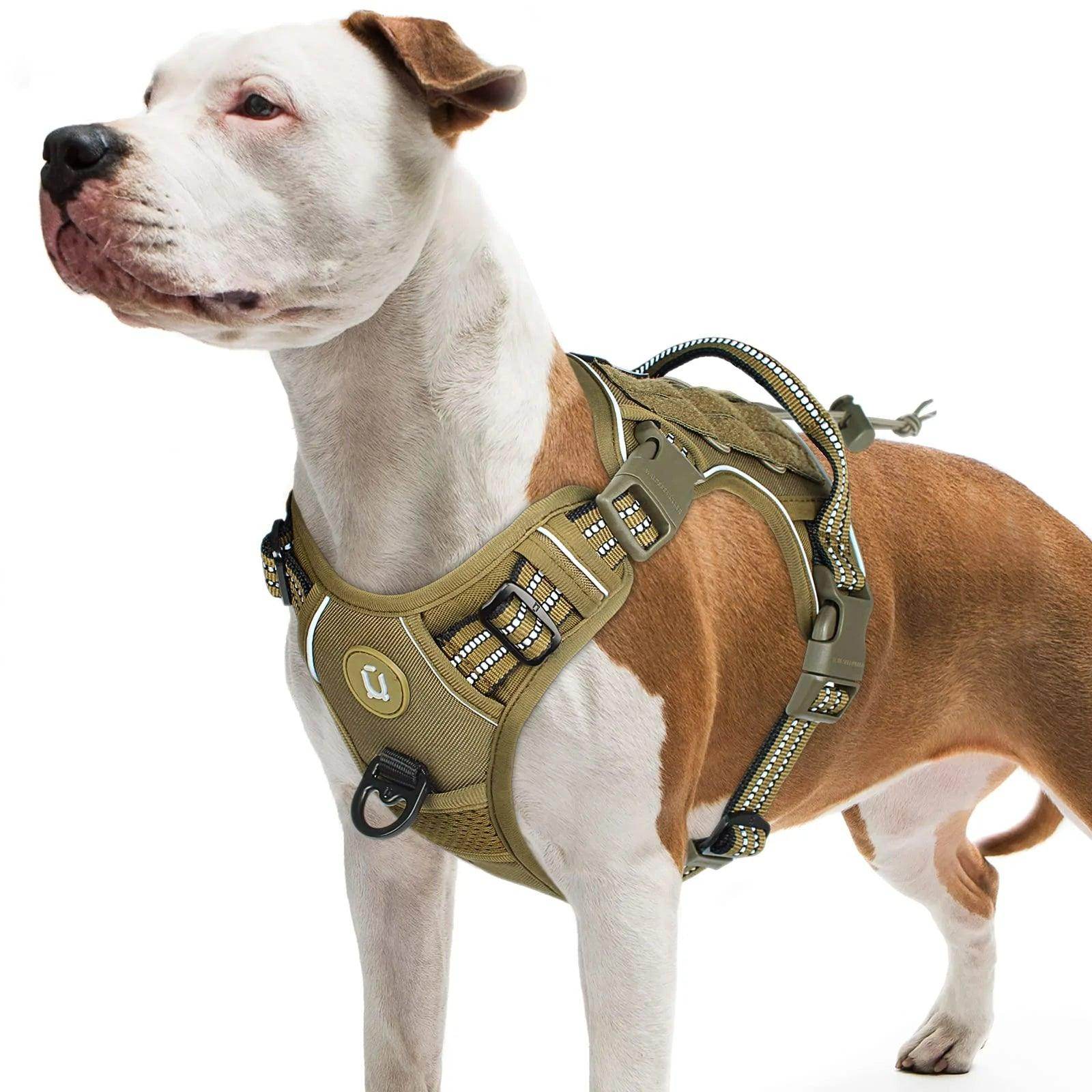 Tactical Dog Harness - My Store
