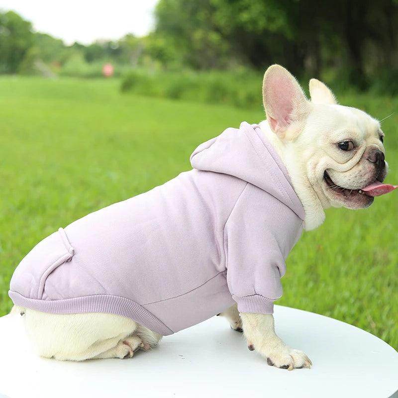 Warm Hooded Pet Sweater - My Store