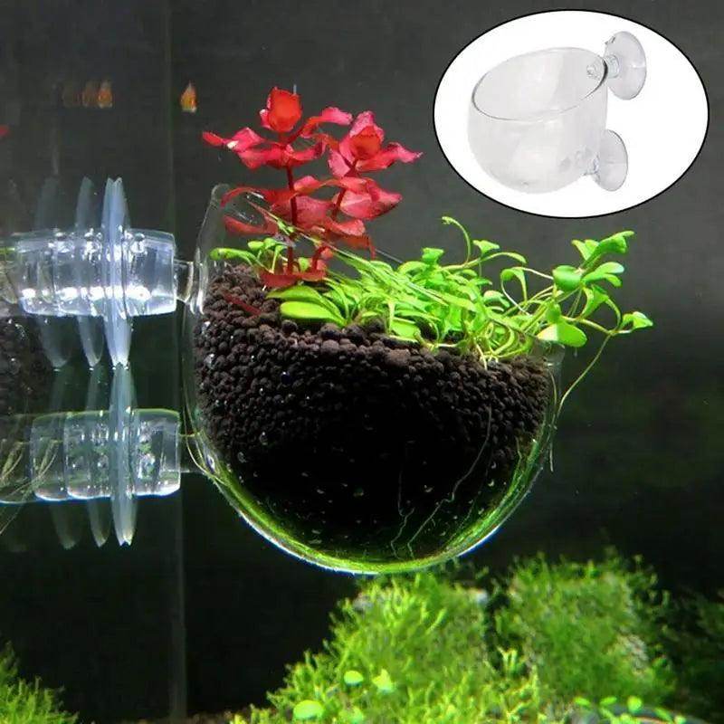 Acrylic Aquatic Plant Cup with Suction Holder - My Store