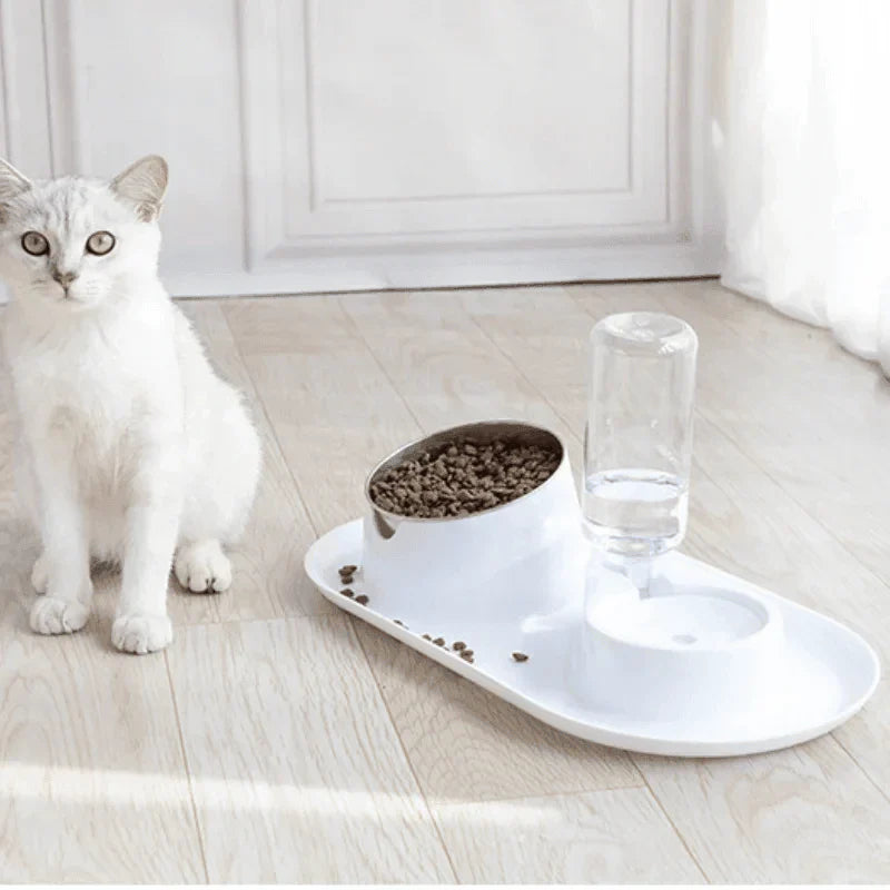 Pet Dual Bowl Dog and Cat Automatic Feeding and Water Dispenser - My Store