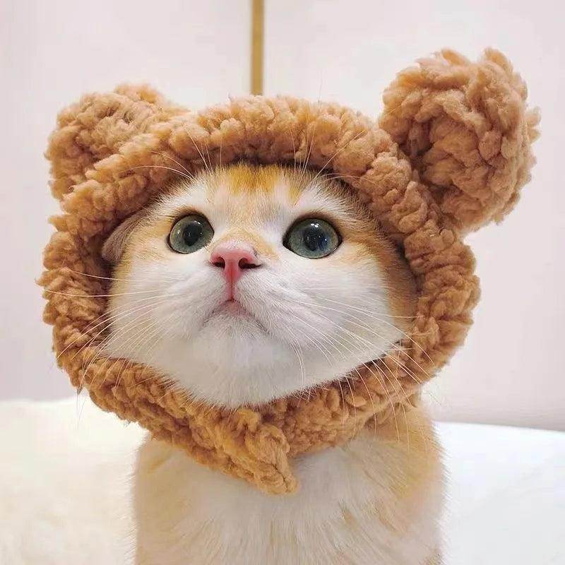 Plush Bear Cat & Dog Hat - My Store