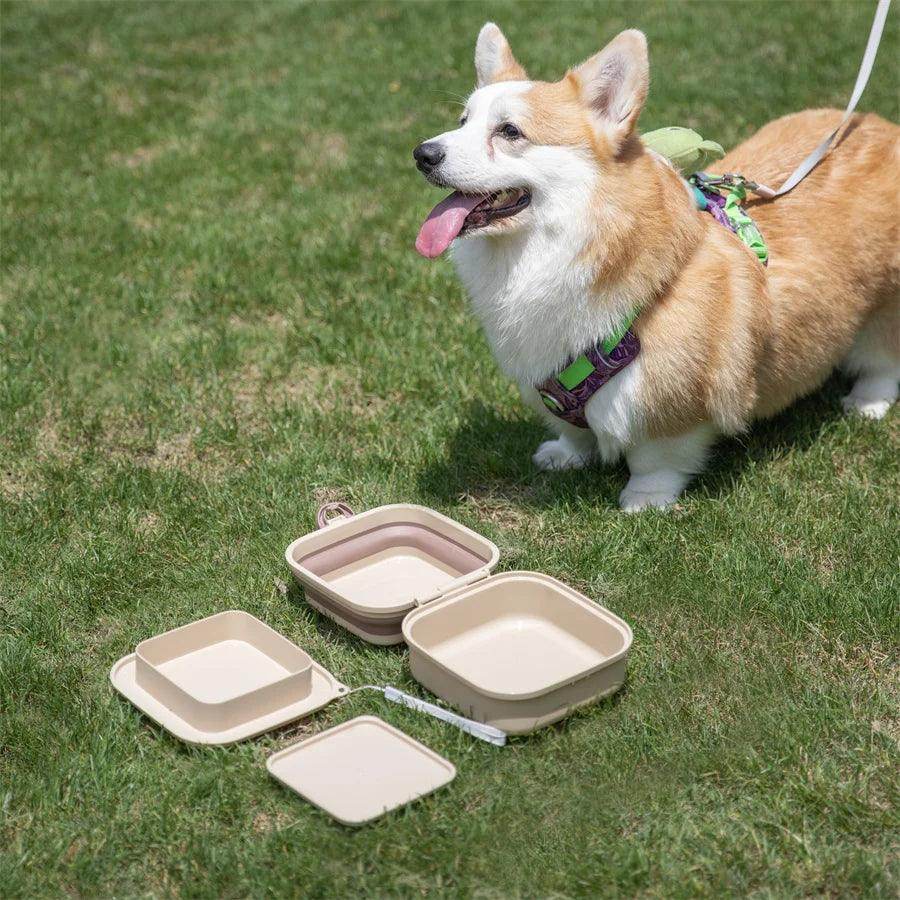 Thickened Folding Pet Bowls - My Store
