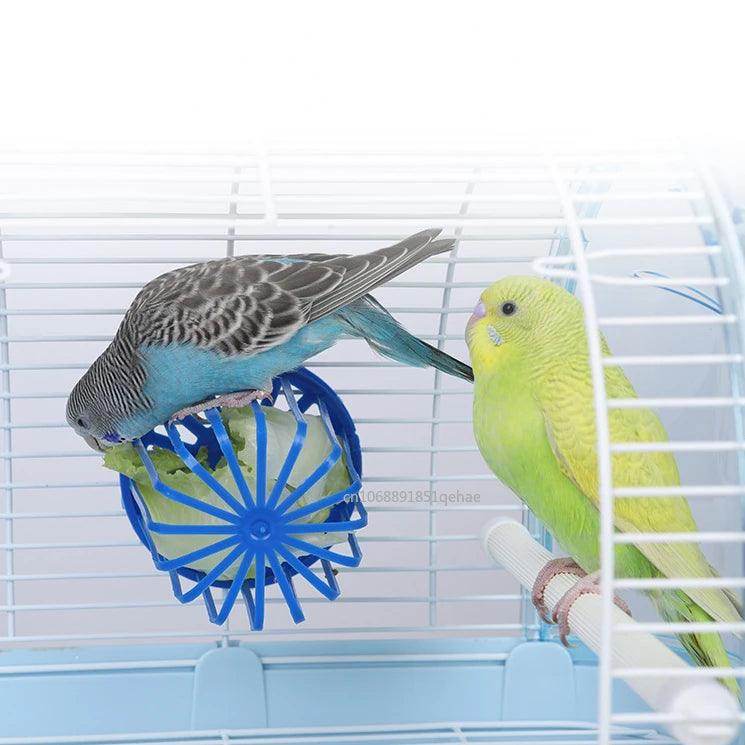 Bird Parrot Feeder Cage - My Store