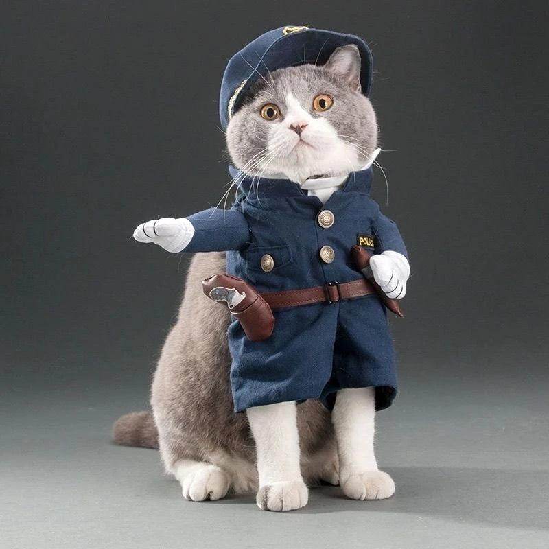Funny Cat Clothes Dog Cat Cosplay Jumpsuit - My Store
