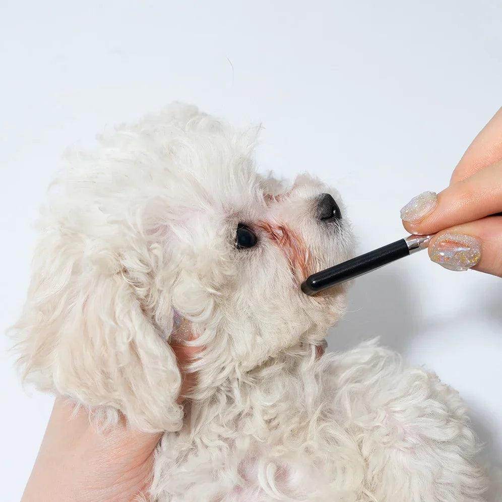 Pet Facial Cleaning Comb - My Store