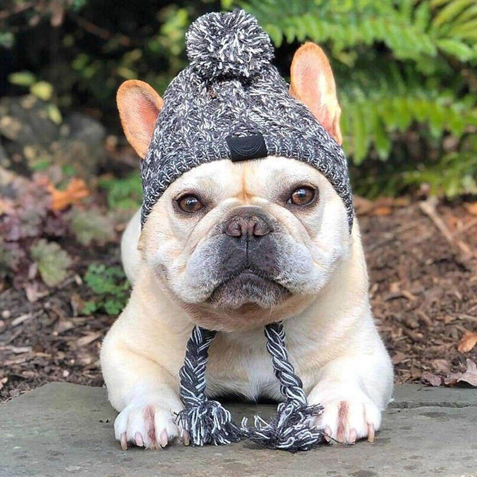 Winter Knitted Dog Hat - My Store