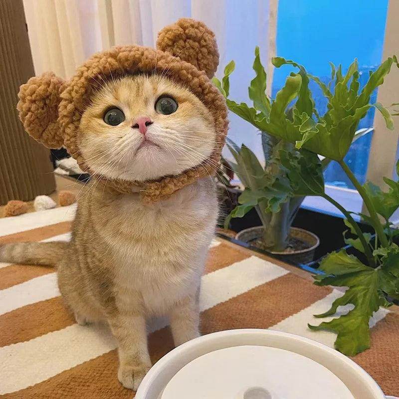 Plush Bear Cat & Dog Hat - My Store