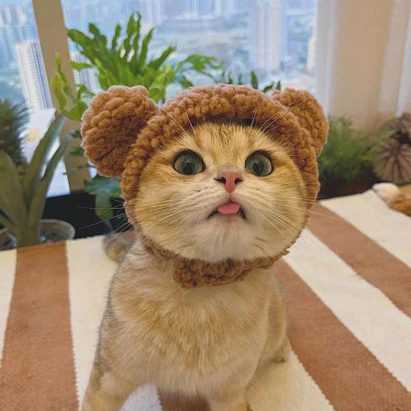 Plush Bear Cat & Dog Hat - My Store