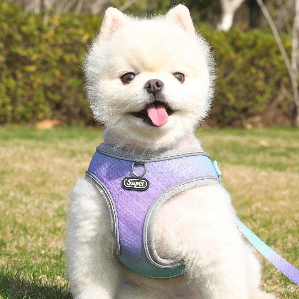 Supet Step-in Dog Harness - My Store