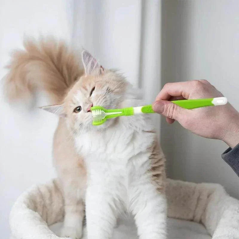 3-Sided Pet Toothbrush - My Store