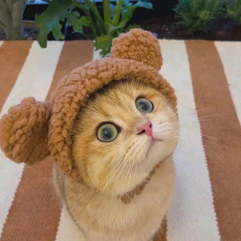 Plush Bear Cat & Dog Hat - My Store